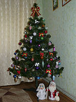 Галактионова Елена(2е место)