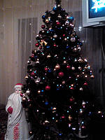 Марченко Татьяна(2е место)