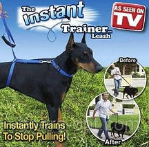 Повідець Для Собак The Instant Trainer Leash понад 30 кг, фото 2