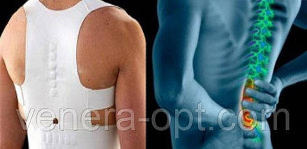 Магнітний коректор постави EMSON Power Magnetic забудьте про болі в спині, фото 4