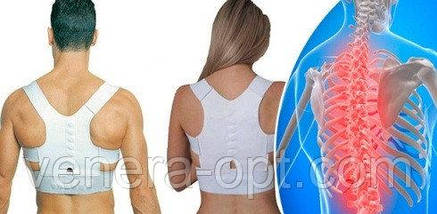 Магнітний коректор постави EMSON Power Magnetic забудьте про болі в спині, фото 3