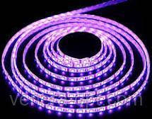 Стрічка світлодіодна LED 3528 RGB 3м 180 LED з пультом і блоком живлення, фото 6