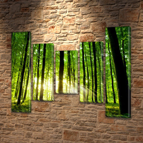 Модульна картина Ранок у лісі, на ПВХ тканини, 80x100 см, (80x18-2/55х18-2/40x18)
