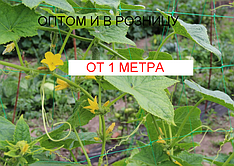 Сітка ОГІРКОВА пластикова на метраж 1,8 м, ширина