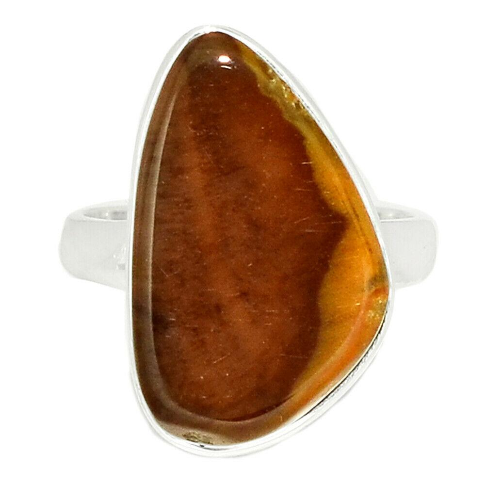 Дерево скам'яніле зі срібне кільце, 1609КД