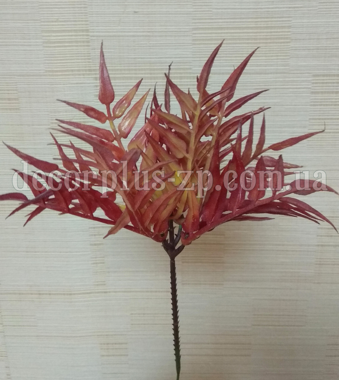 Додаток - зелень бордо, фото 1