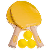 Набор настольный теннис (2 ракетки, 3 мяча) PANTONE SPK1004: Gsport