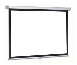 Ручний екран для проєктора PROJECTA SlimScreen 139 x 240 см, фото 1