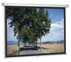 Ручний екран для проєктора PROJECTA SlimScreen 139 x 240 см, фото 3