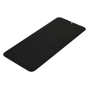 Дисплей (lcd-екран) для Realme C11 (2020) з чорним тачскрином, фото 2