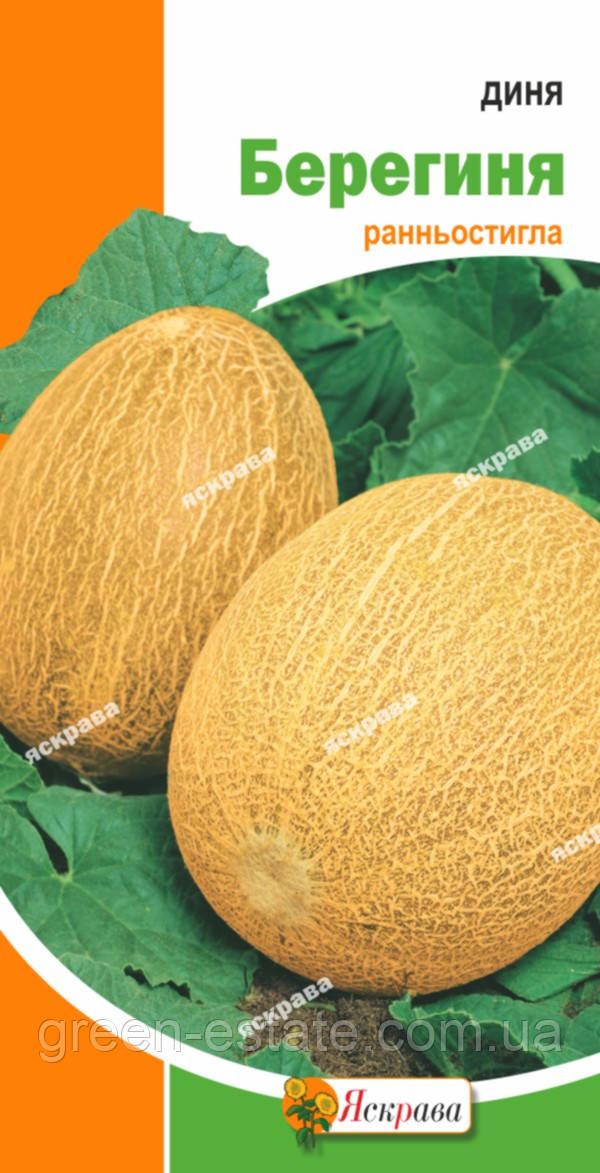 Диня Берегиня 2 гр