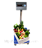 Товарні ваги Зевс ВПЕ А12L (600х800мм), фото 3