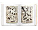 Книга Leonardo da Vinci: The Complete Drawings, фото 5
