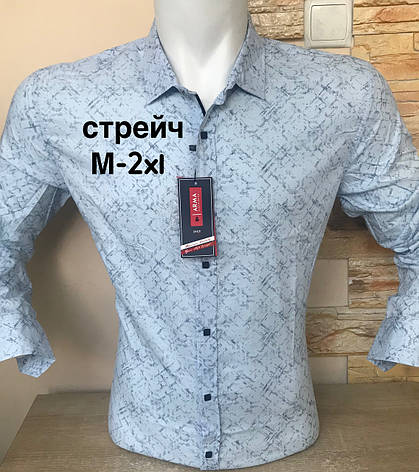 Стрейчева сорочка ARMA з довгим рукавом, фото 3