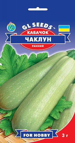 Насіння Кабачок Чаклун 3 р GL Seeds, фото 1