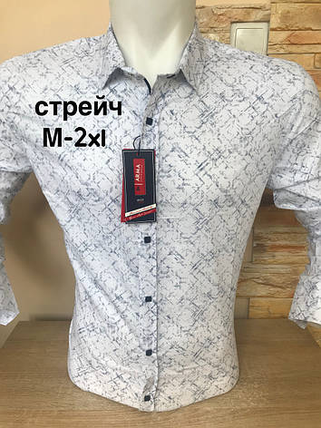 Стрейчева сорочка ARMA з довгим рукавом, фото 3