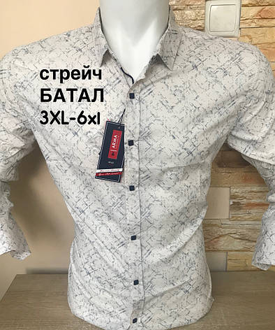 Батальна сорочка ARMA з довгим рукавом, фото 1