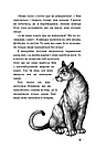 Діти лісу Книга 2. Небезпечна дружба. Автор Катя Брандіс, фото 7