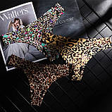 Сексуальна жіноча спідня білизна стринги мереживні трусики трусики леопард, фото 4