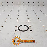 Кільце стопорне (вір-во Білорусь, МТЗ) (915243), фото 3