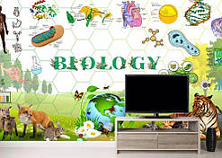Фотошпалери в кабінет біології