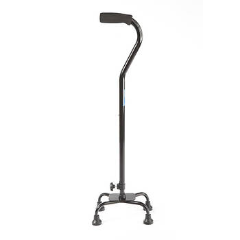 Палиці для ходьби