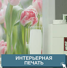 Інтер'єрна друк, фото 3