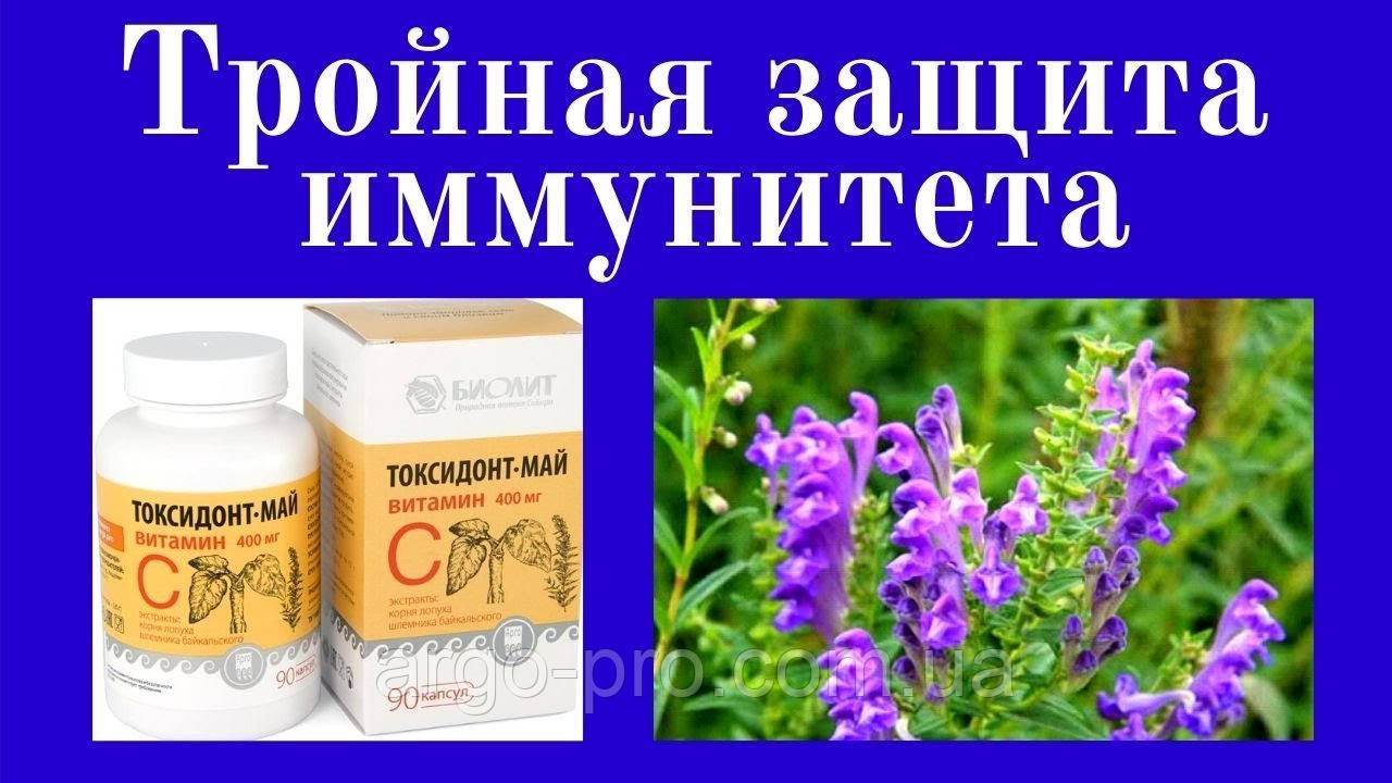 Экстракт корня лопуха и шлемника (вирусы, иммунитет, интоксикация, стресс, инсульт, очистка крови, сосудов) - фото 1 - id-p1469540522