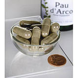 Для травлення Swanson Pau d'arco 500 мг (Пау де Арко) 100 капсул, фото 2