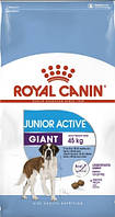 Сухой корм Royal Canin Giant Junior Active для щенков гигантских пород 15 кг