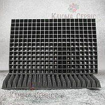 Касета для розсади на 260 клітинок 16 мл (DP 27/260), фото 4