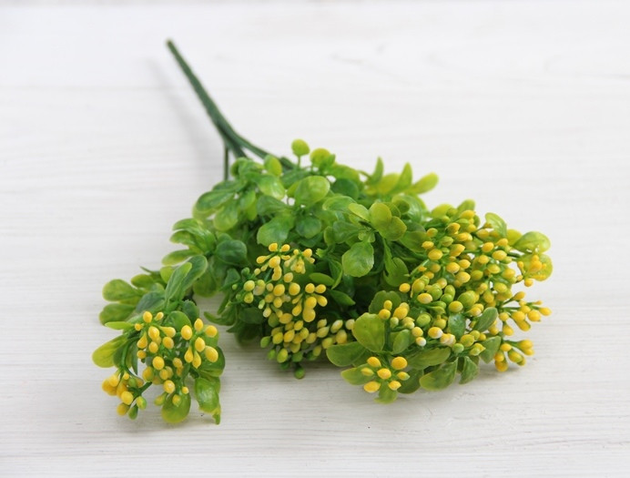 Зелень "Глянсова з ягодами" зелена з жовтим