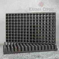Касети для розсади на 160 клітинок по 20 мл квадрат DP 27/160, фото 2