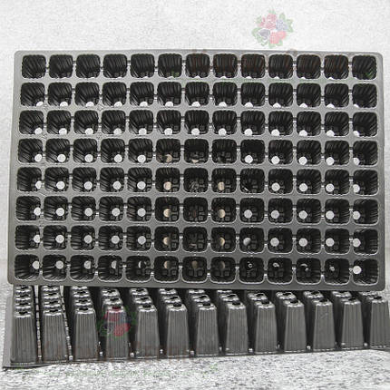 контейнери для вирощування рослин