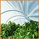 Парник 12 м 42 щільність "Агро-Лідер" парники від виробника, фото 8