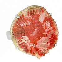 Корал роговий червоний срібне кільце, 1912КК