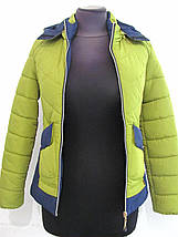 Жіноча демісезонна куртка з капюшоном колір яблуко з щільної плащової тканини розмір 42, фото 2