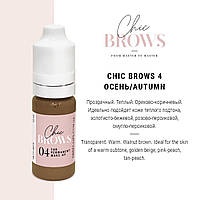 Пигмент для татуажа Chic Brows 04 Осень (10мл)