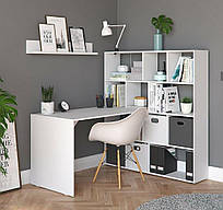 Стіл письмовий, комп'ютерний, робочий зі стелажем