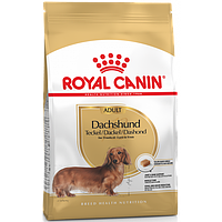 Royal Canin Dachshund Adult 1,5 кг для дорослих собак породи такса
