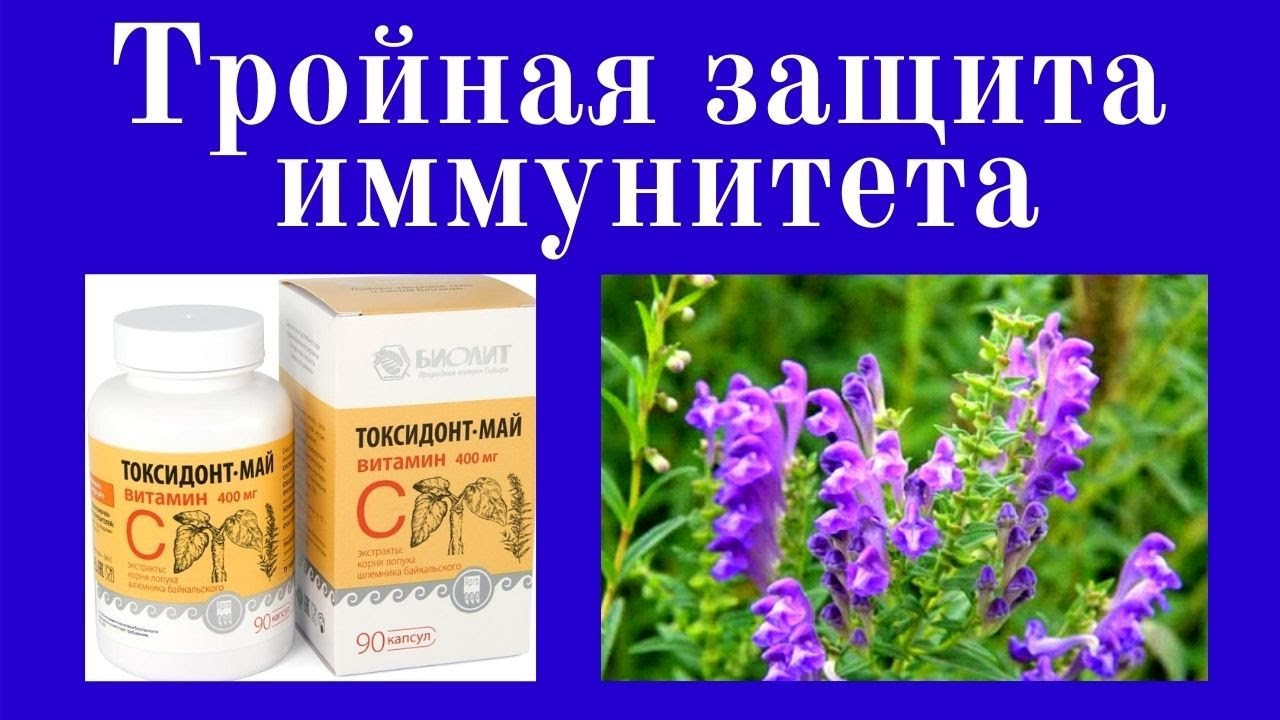 Екстракт кореня лопуха та шоломниці, віруси, імунітет, інтоксикація, очищення крові, судин, тиск, вітамін С