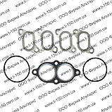 Набір прокладок двигуна Газель двигун ЗМЗ-405/406 повний з РТІ, Преміум, фото 7