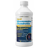 Рідкий глюкозамін і хондроїтин Alevitor Glucosamine Chondroitin Liquid 480 ml