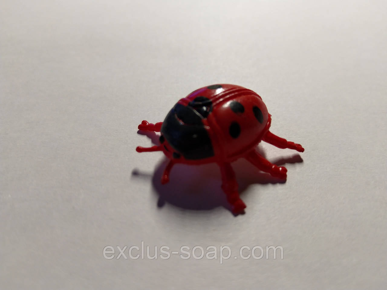 Божа корівка, фото 1