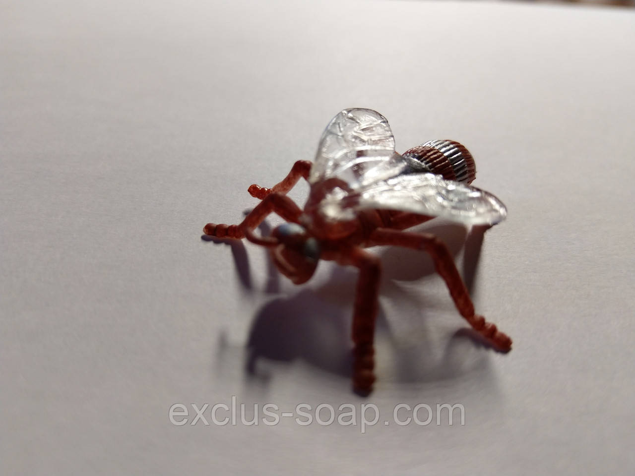 Шершень, фото 1