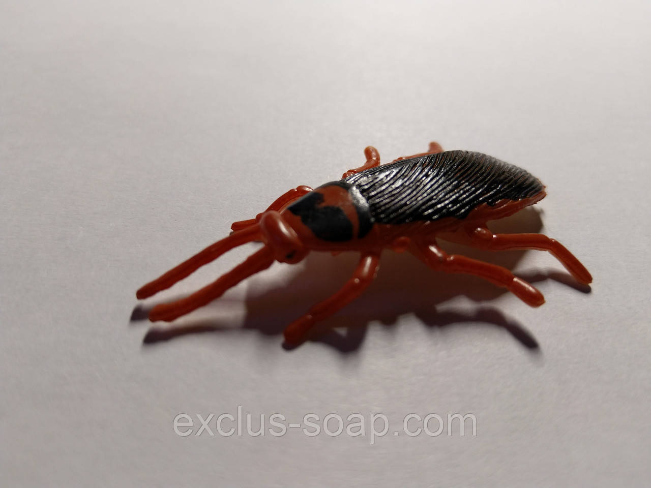 Тарган, фото 1