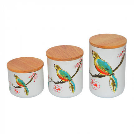 Набір банок для сипких продуктів "Birdie" матеріал кераміка (YX111), фото 2
