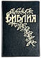Біблія Геце формат 15 х 21,5 см., вініл, золоті сторінки, БЕЗ ЛІТЕРИ "Ъ" (артикул 11622) російською мовою, фото 5