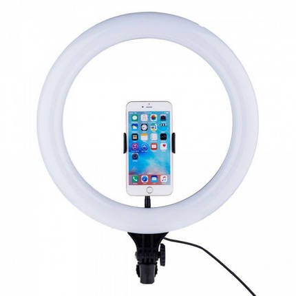Кільце LED для фото BD-330 (33 см) + тримач для телефона — Black, фото 1