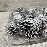 Шишки, фото 2